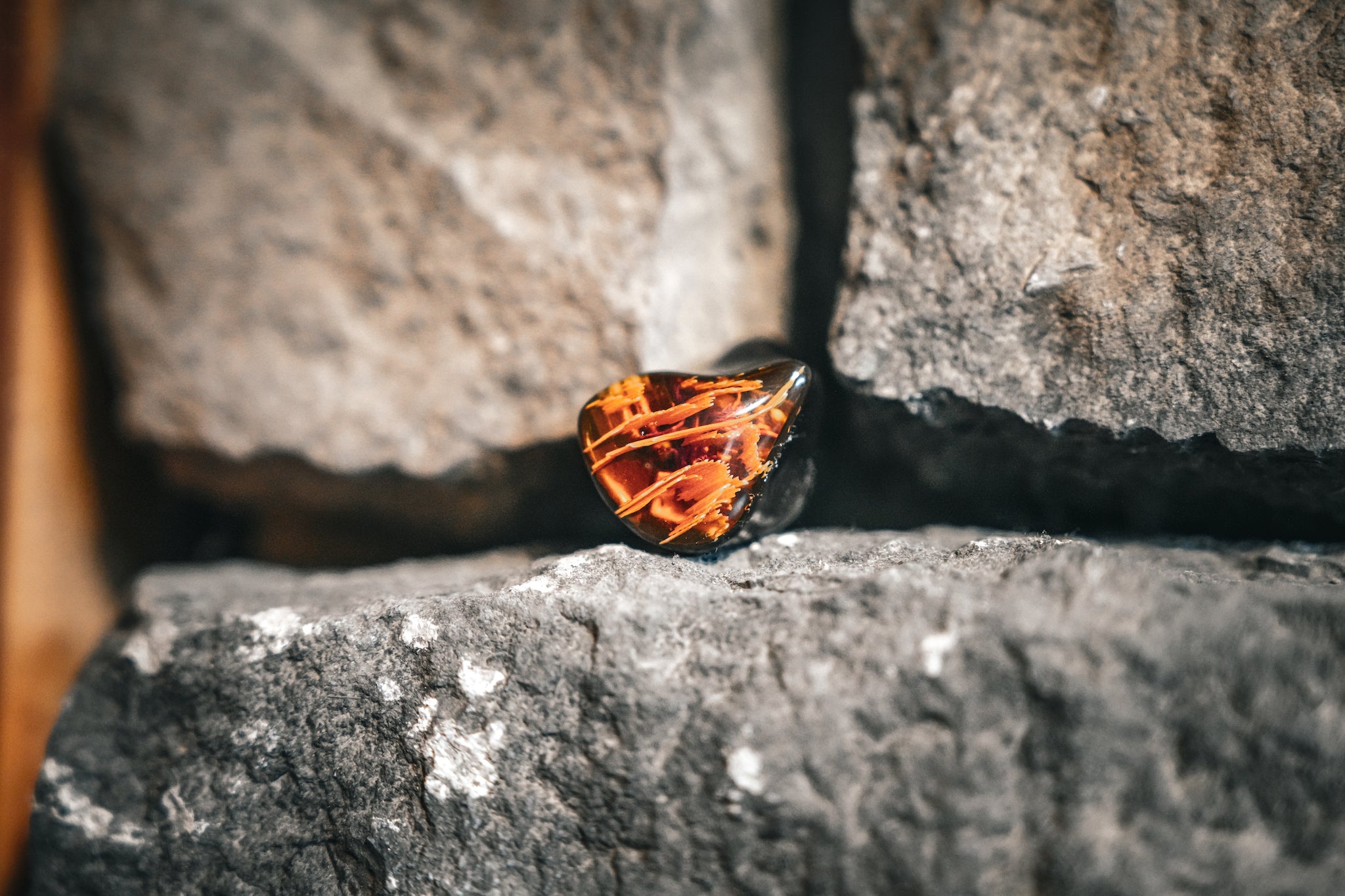 IEMs Fit for a Warrior | Noble Spartacus Review