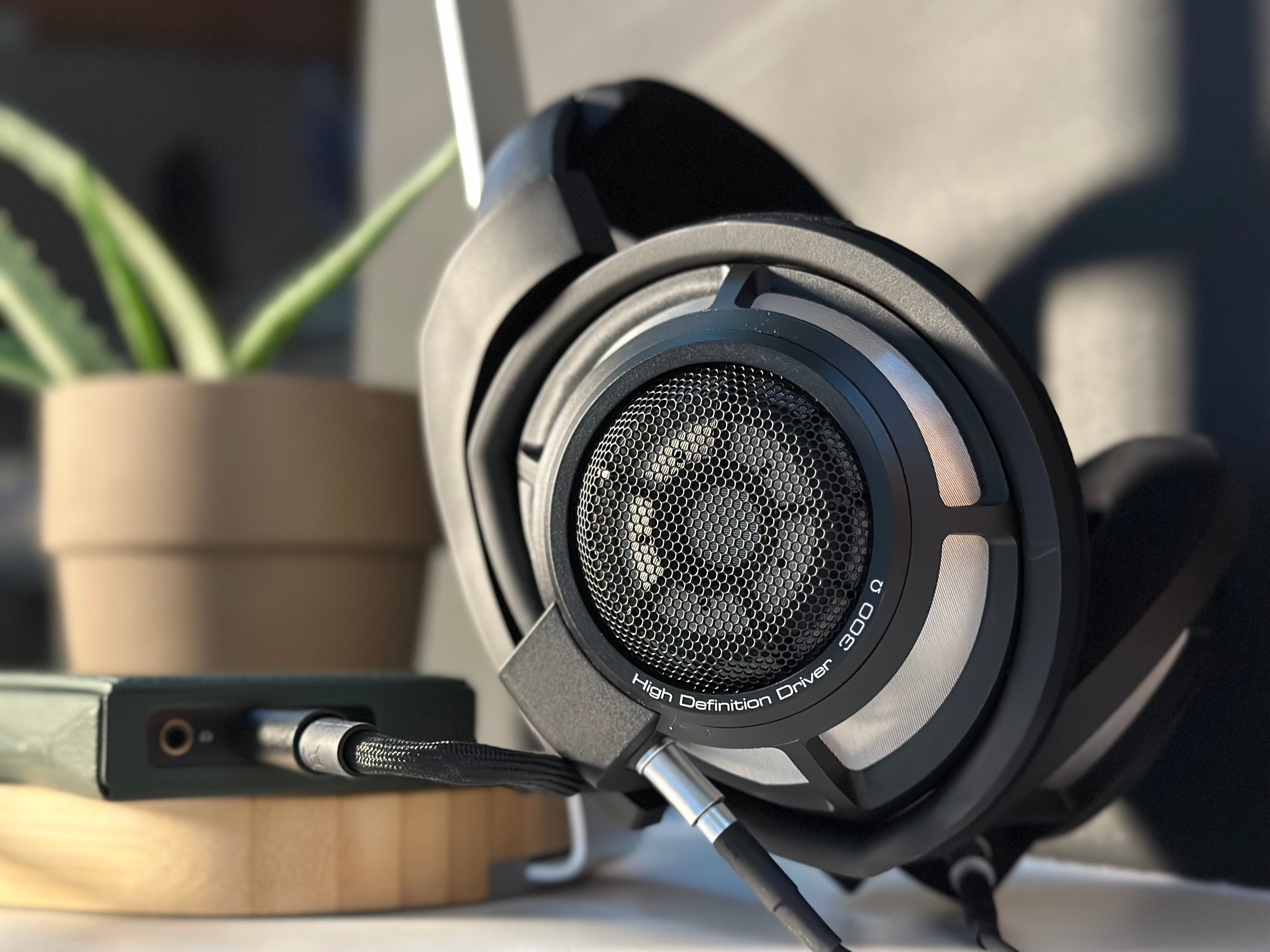 SENNHEISERHD 800 S【ドイツ製】