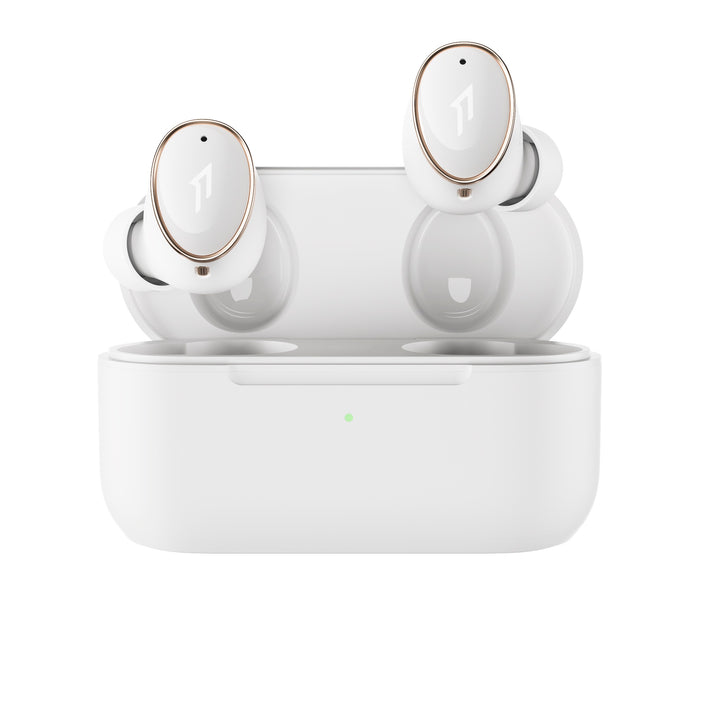 1MORE EVO | True Wireless Hybrid Earphones-Bloom Audio