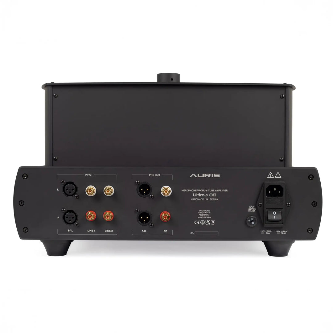 Auris Audio Ultima KT 88 headphone amplifier back center eye level whitebox