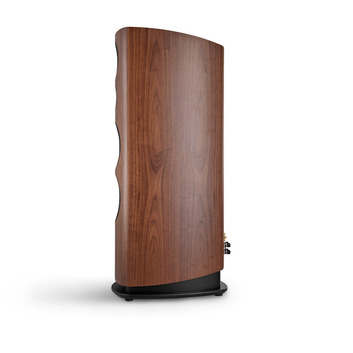 Canton Reference 2 2023 walnut profile over white background
