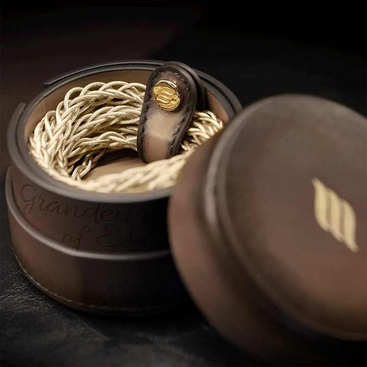 Effect Audio Centurion II cable wrapped in cable tie sitting in brown leather case on black background