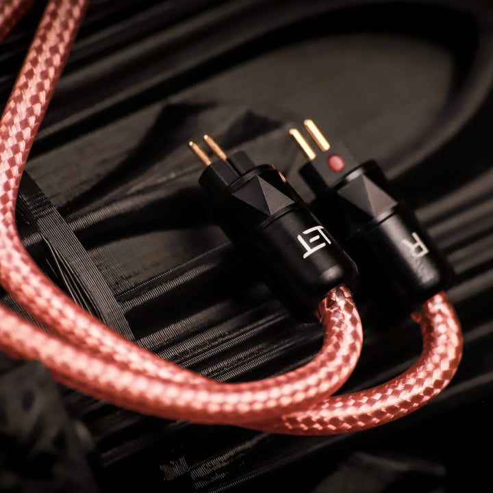 Eletech Aristotle 2-pin connector closeup