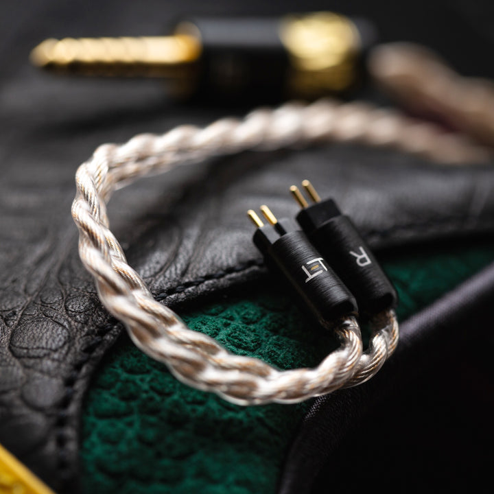 Eletech Sonnet of Adam dramatic closeup 2-pin connectors and ear hooks over black and green leather