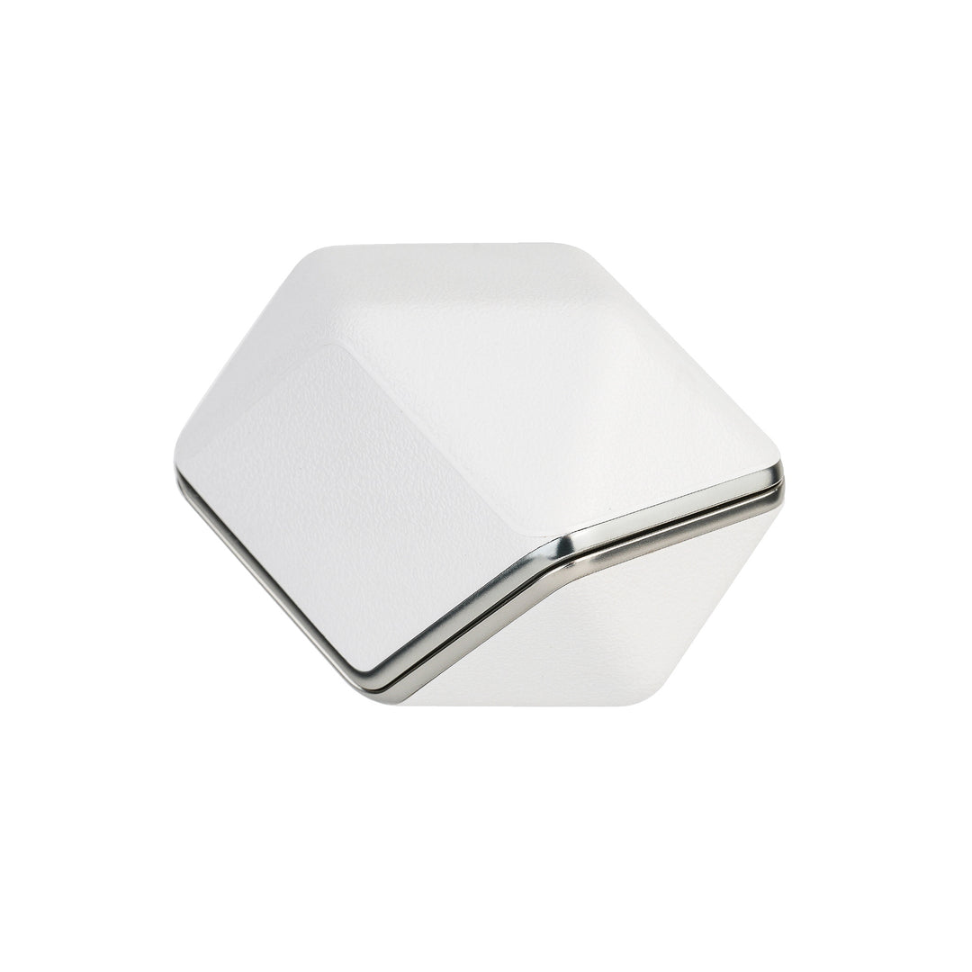 HiFiMAN Svanar Wireless Jr case only over white background