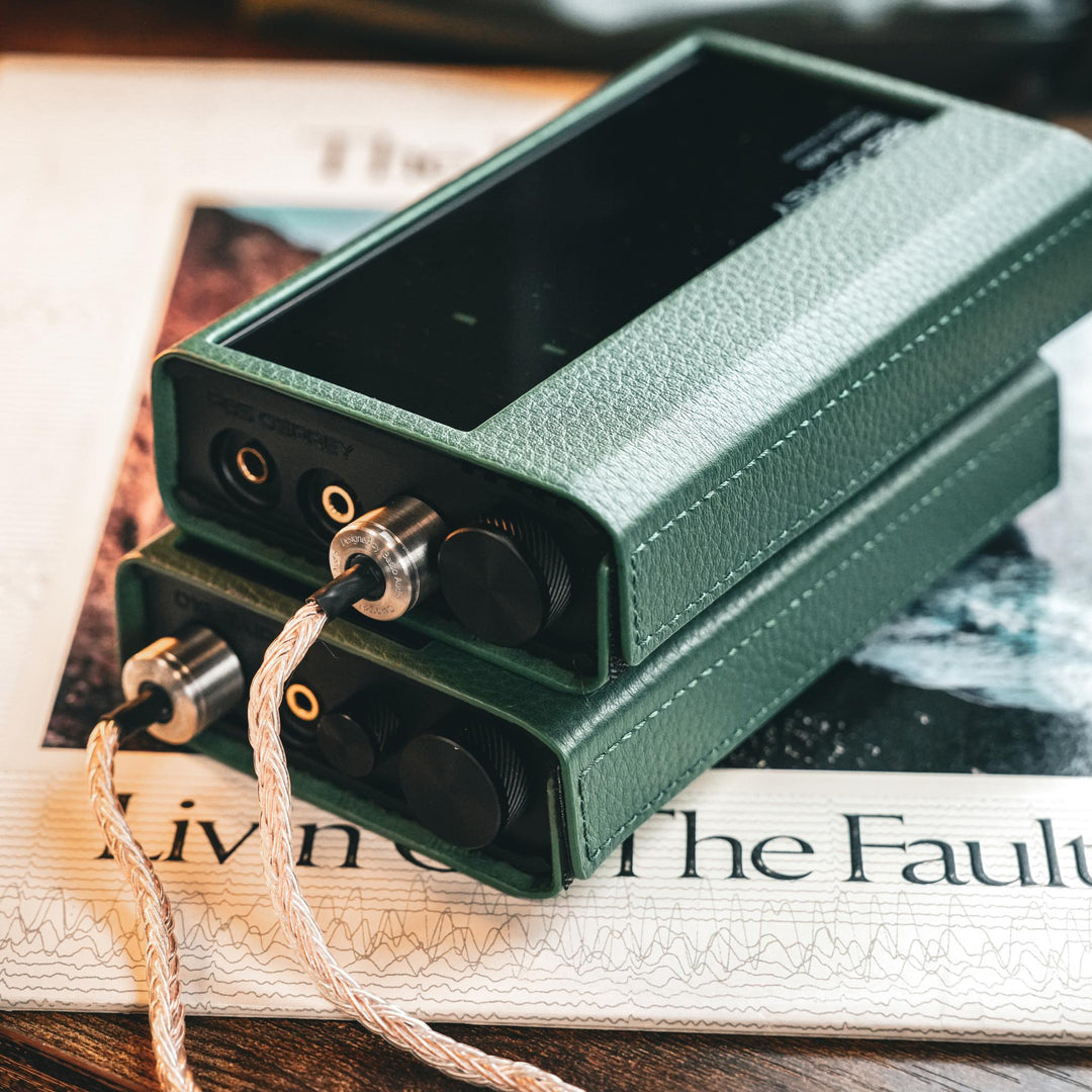 iBasso D16 TAIPAN | Hi-Res Balanced Portable DAC and Amp