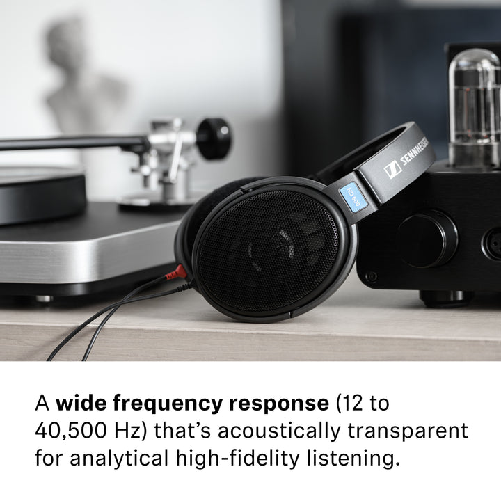 Sennheiser HD600 | Open-Back Dynamic Headphones-Bloom Audio