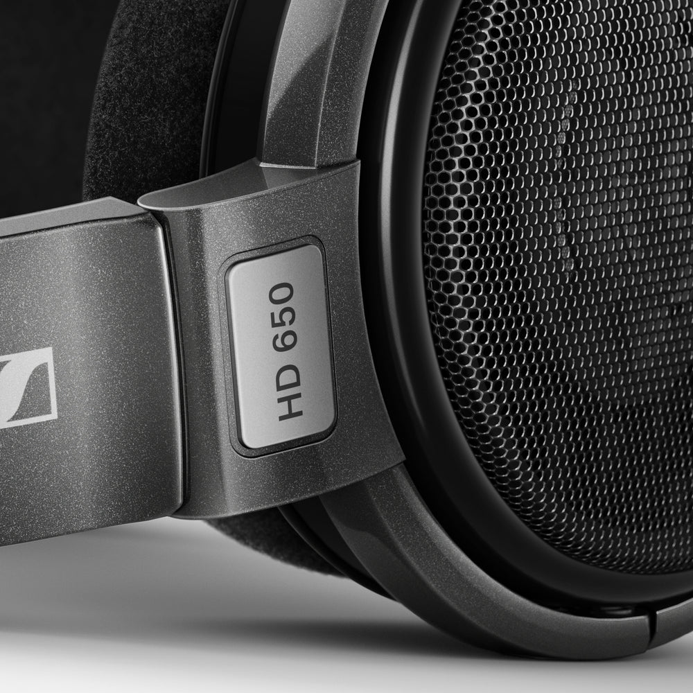 Sennheiser HD650 | Open-Back Dynamic Headphones-Bloom Audio