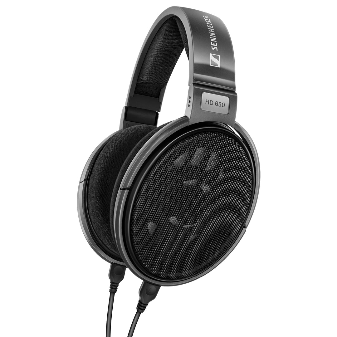 Sennheiser HD650 | Open-Back Dynamic Headphones-Bloom Audio