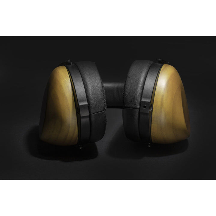 HIFIMAN HE-R10D | Closed-Back Dynamic Headphones-Bloom Audio