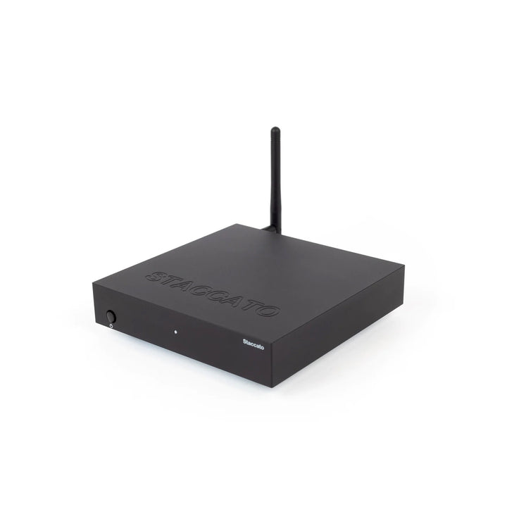 EarMen Staccato | Desktop Streamer-Bloom Audio | STACCATO