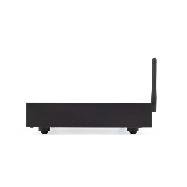 EarMen Staccato | Desktop Streamer-Bloom Audio