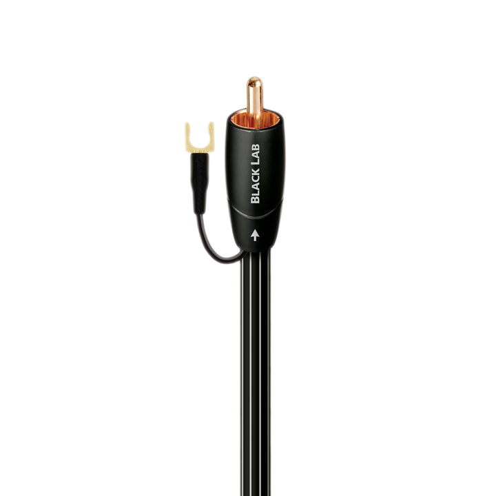 AudioQuest Black Lab subwoofer cable over white background