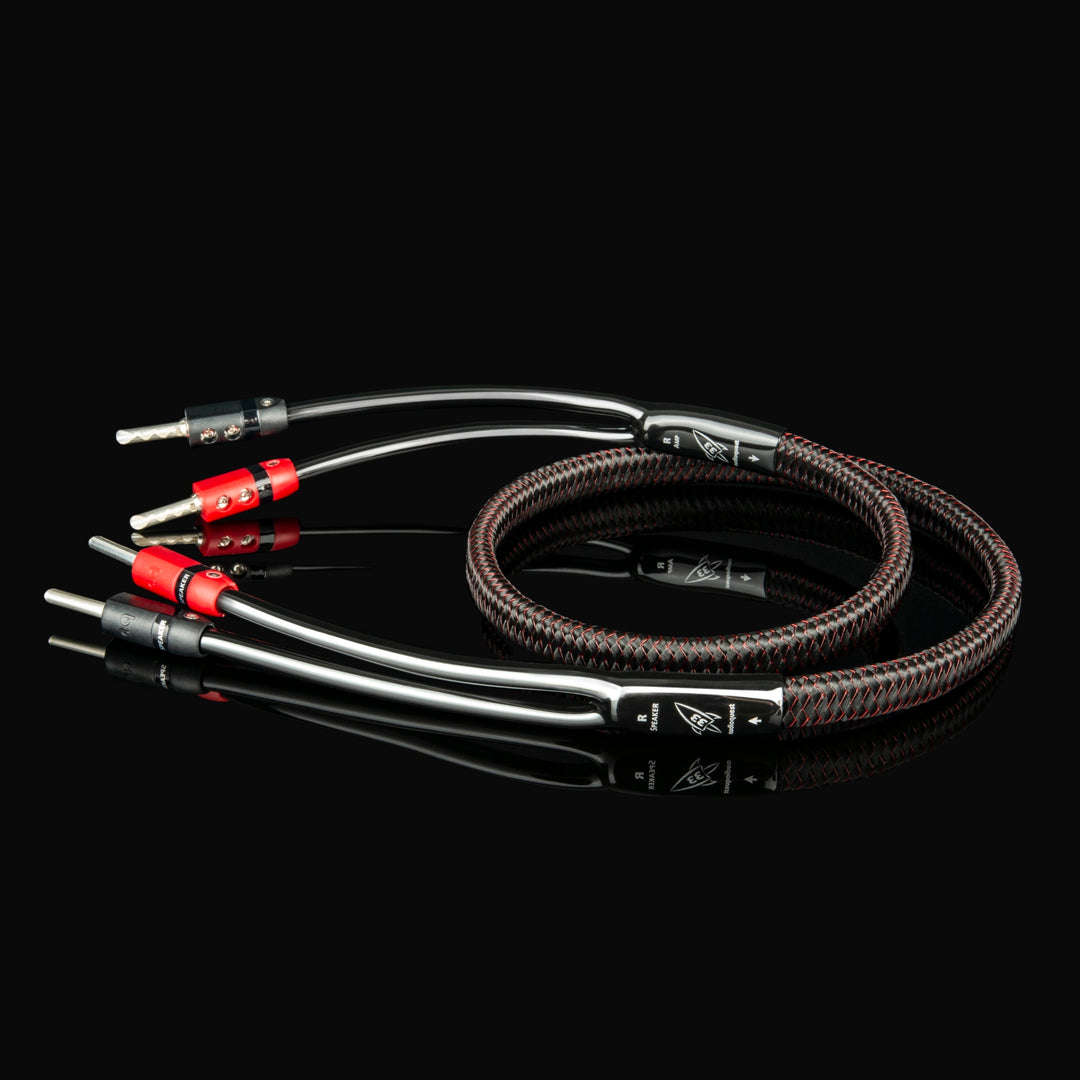 AudioQuest Rocket 33 full-range over black reflective background