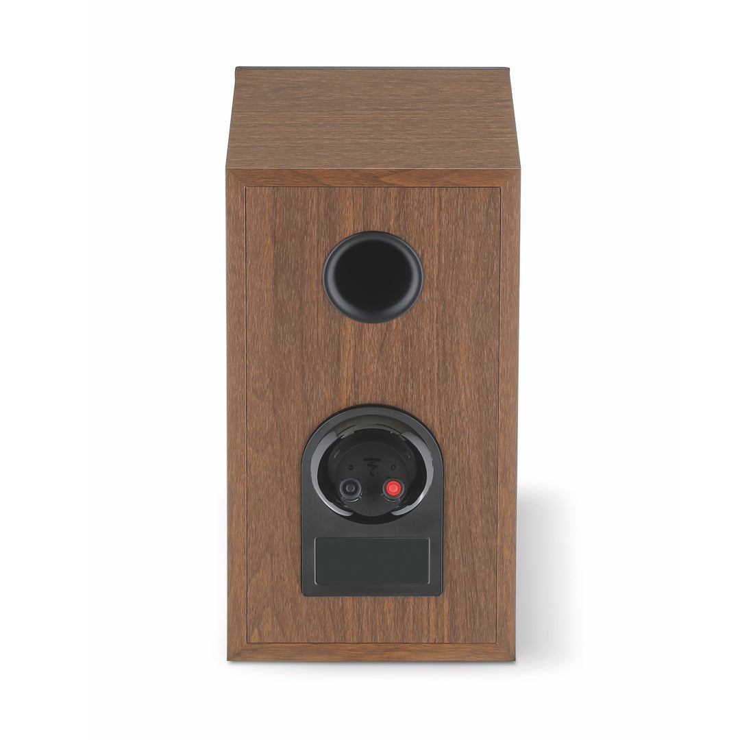 Focal Theva No1 dk wood rear over white background