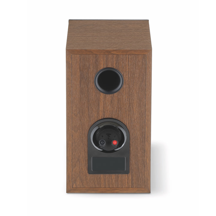 Focal Theva No1 dk wood rear over white background