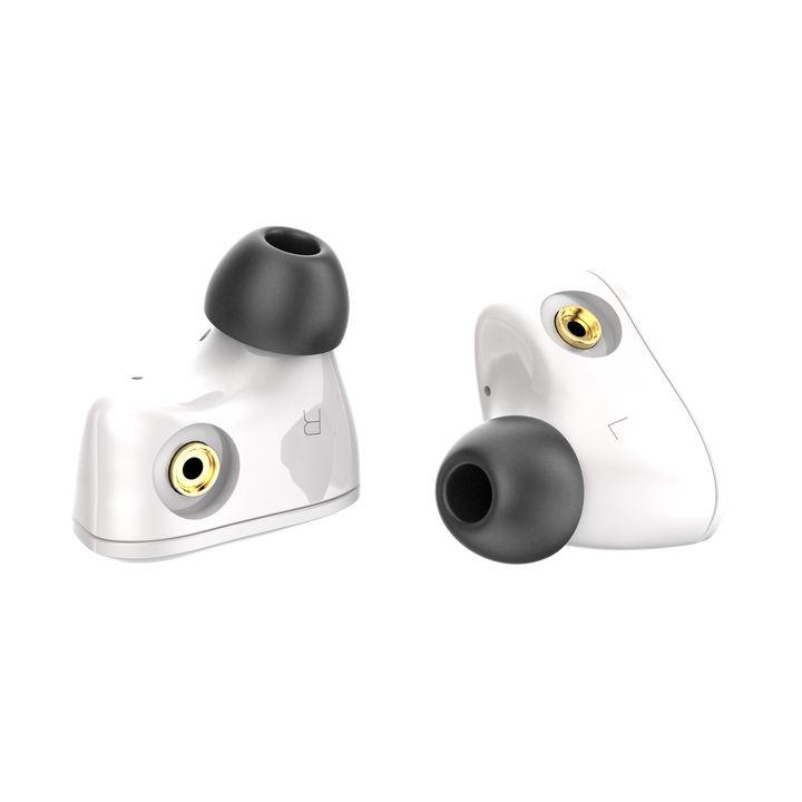 iBasso IT00 | Dynamic Universal IEMs-Bloom Audio