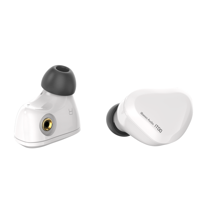 iBasso IT00 | Dynamic Universal IEMs-Bloom Audio
