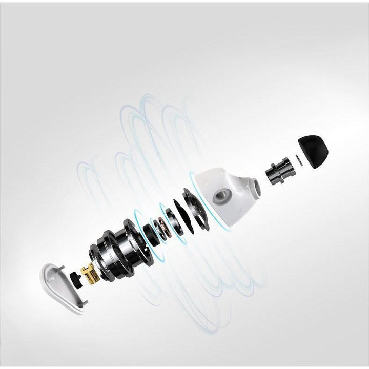 iBasso IT00 | Dynamic Universal IEMs-Bloom Audio