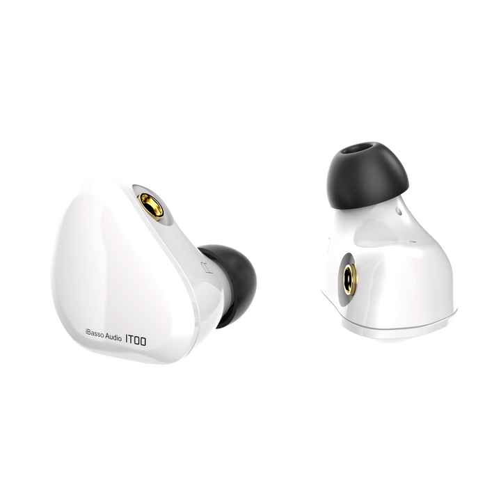 iBasso IT00 | Dynamic Universal IEMs-Bloom Audio