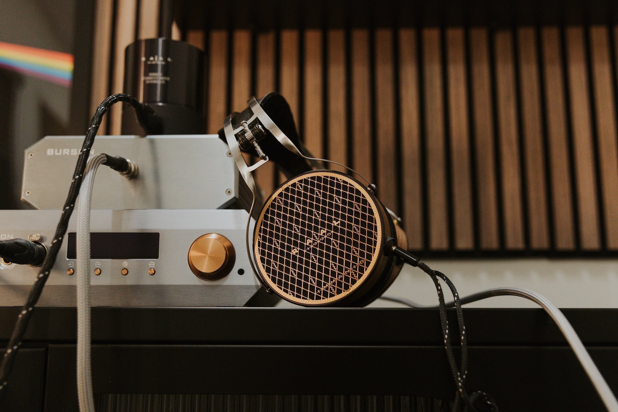 The New Best Headphone in the World? | RAAL-1995 Immanis Review