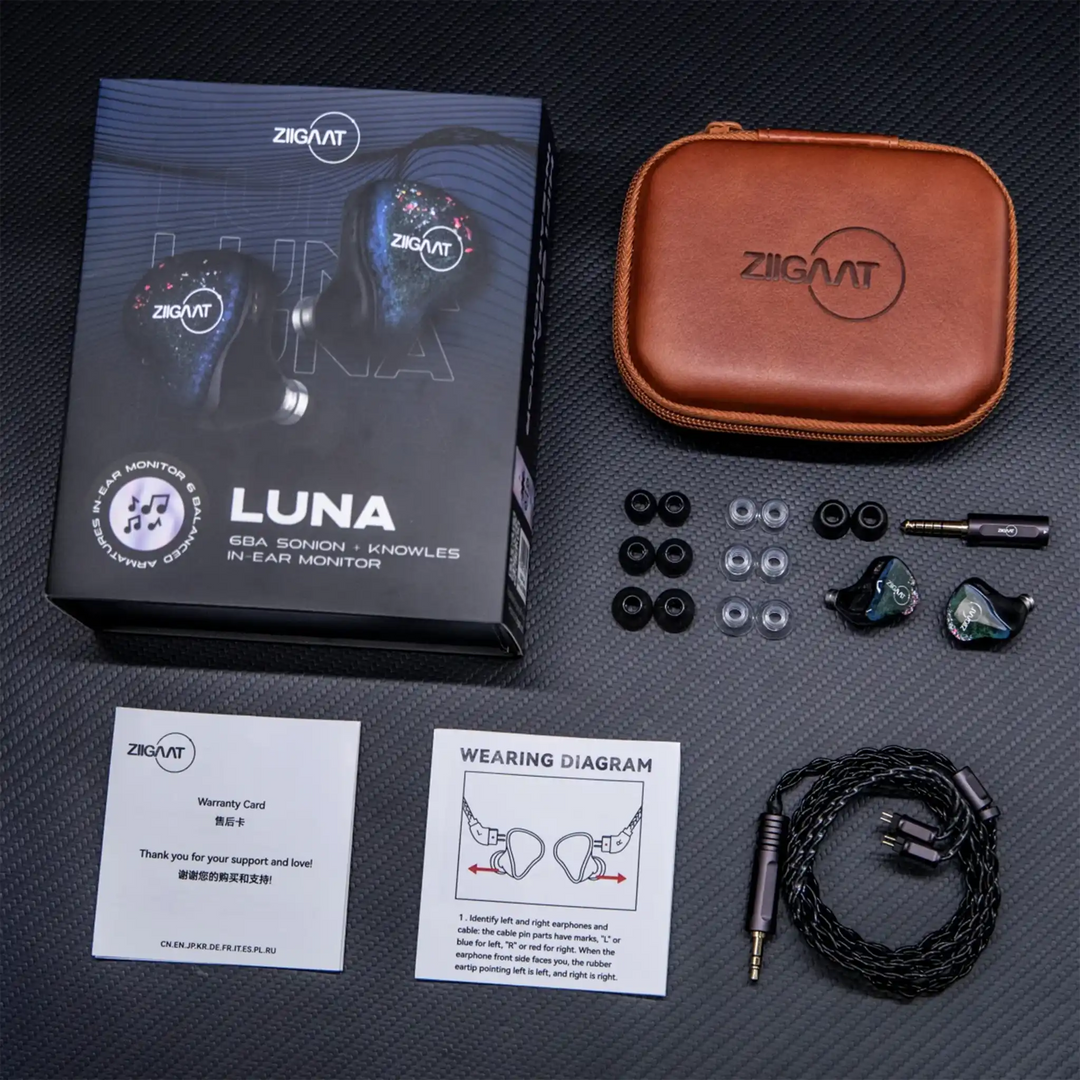 What's are the Best ZiiGaat IEMs for me in 2026?