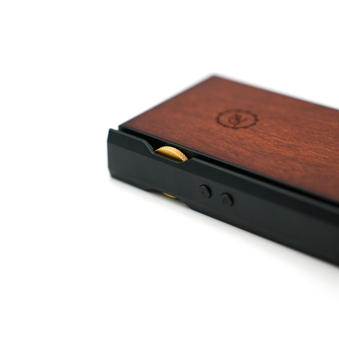 Luxury & Precision P6 Pro PREOWNED | Digital Audio Player-Bloom Audio