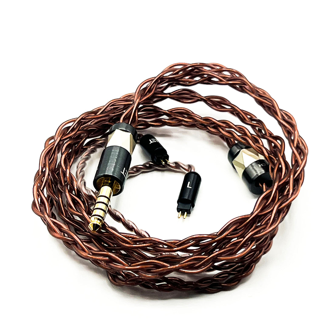 Forte Ears Macbeth PREOWNED | Hybrid Universal IEMs