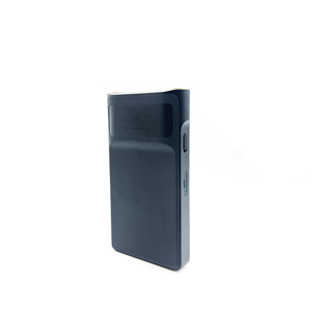 Sony NW-WM1AM2 PREOWNED | High-Resolution Digital Audio Player-Bloom Audio