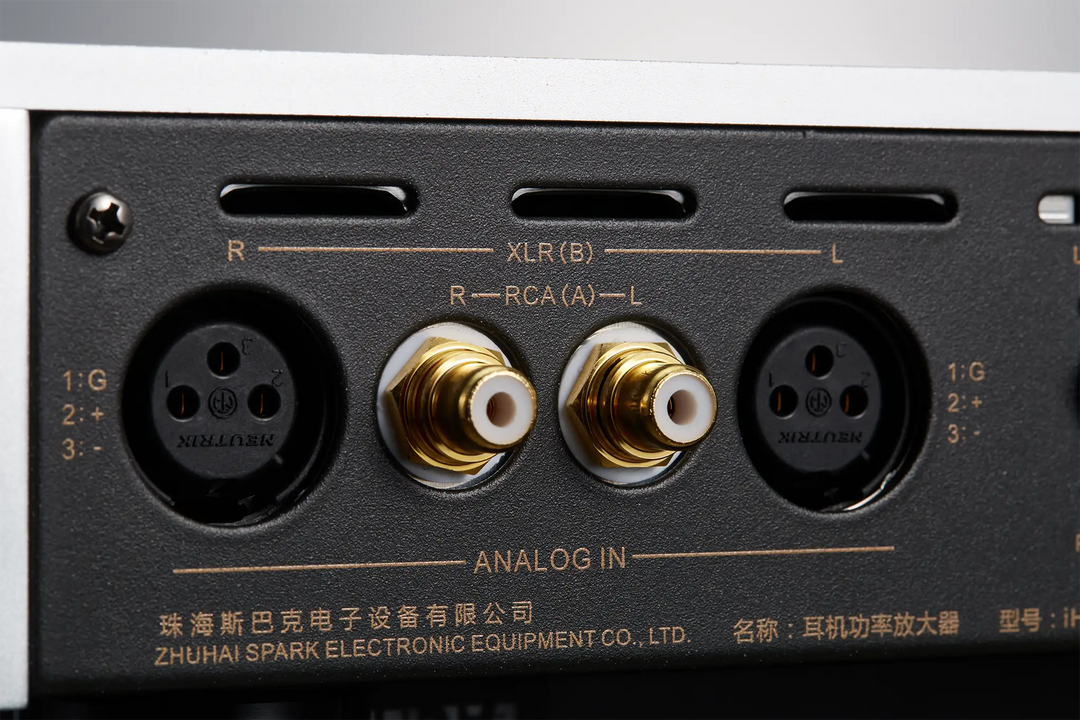 Cayin iHA-8 back outputs closeup