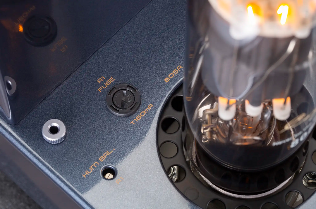 Cayin Jazz 100 headphone amplifier Birdseye view closeup of tube and fuse