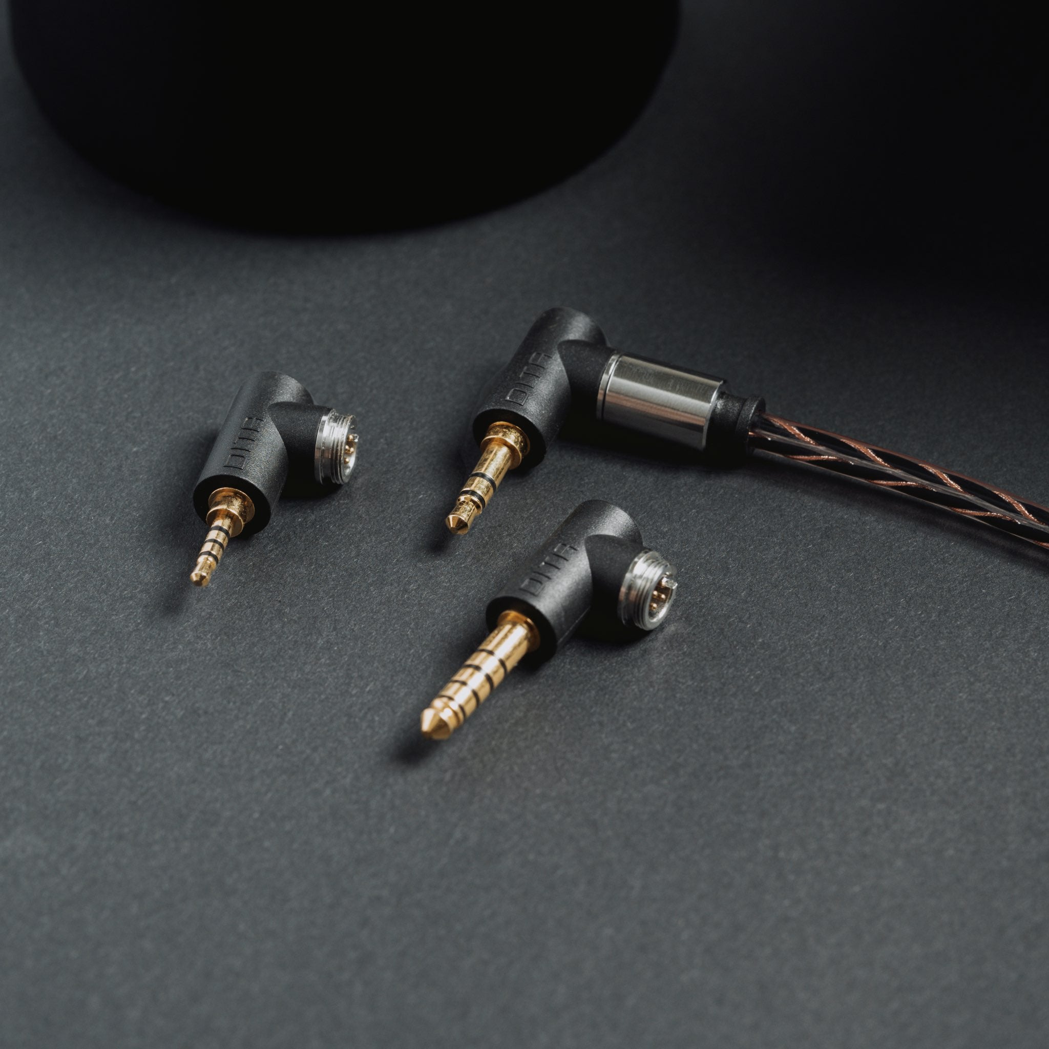 DITA Audio Perpetua Dynamic Universal IEMs | Bloom Audio