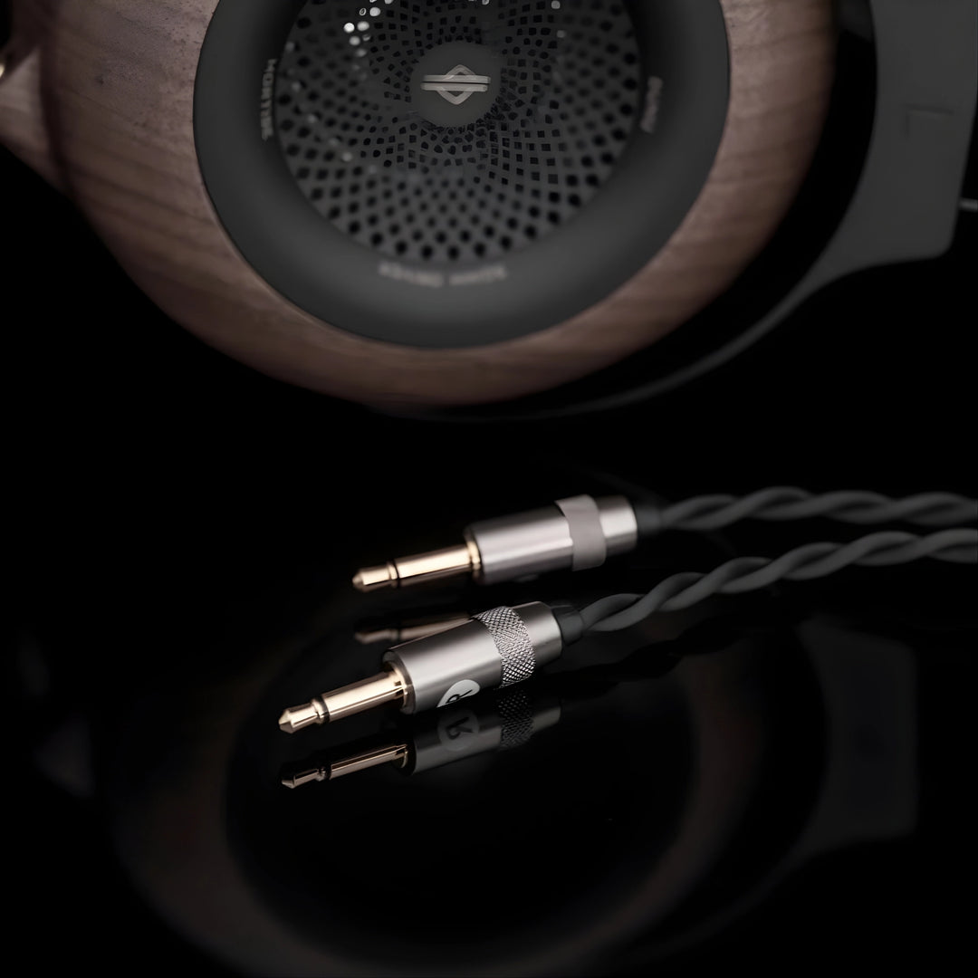 DUNU Mortise headphones dual 3.5mm headphone connectors closeup