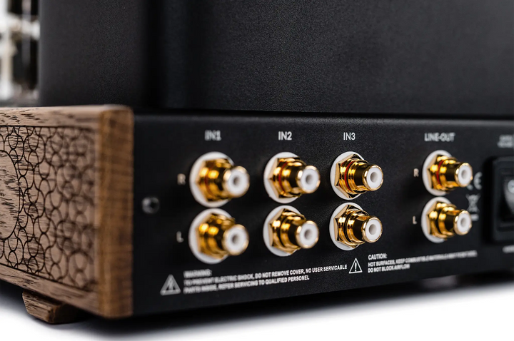 Feliks Audio Echo Vibe tube amp back right corner closeup of inputs whitebox