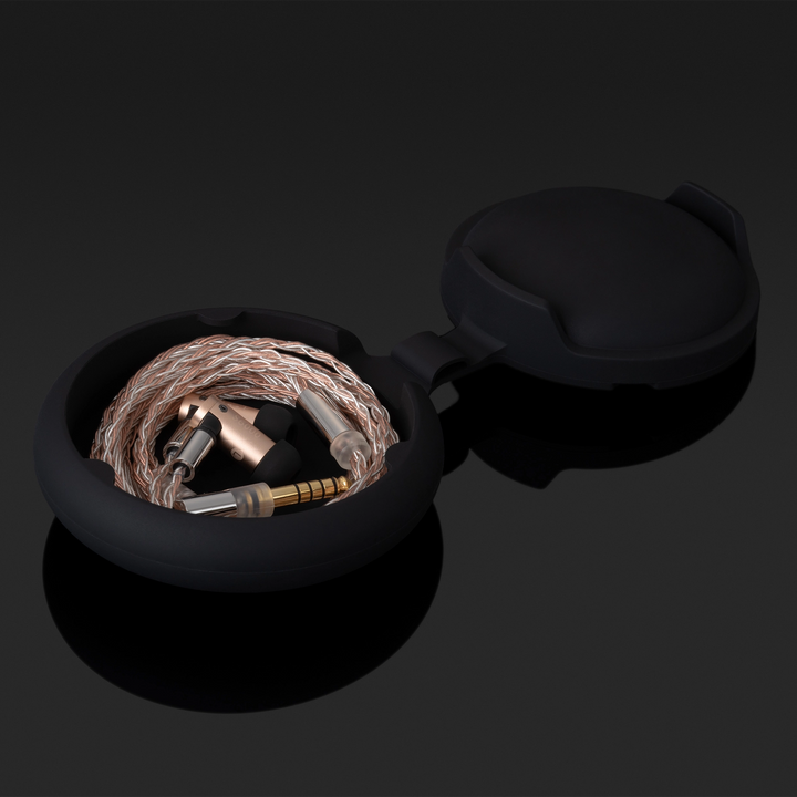 Final Audio S6000 IEMs coiled in silicone case black background