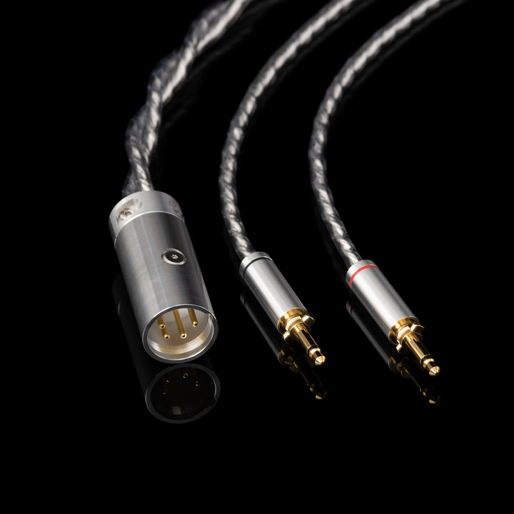 Final Audio D8000 DC Pro stock cable highlighting XLR and 3.5mm mono connectors