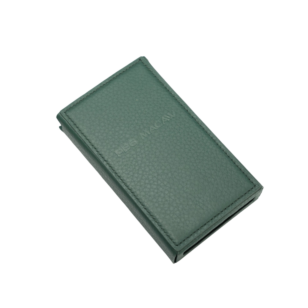 iBasso Green Leather Case for PB6 Macaw | Green Case