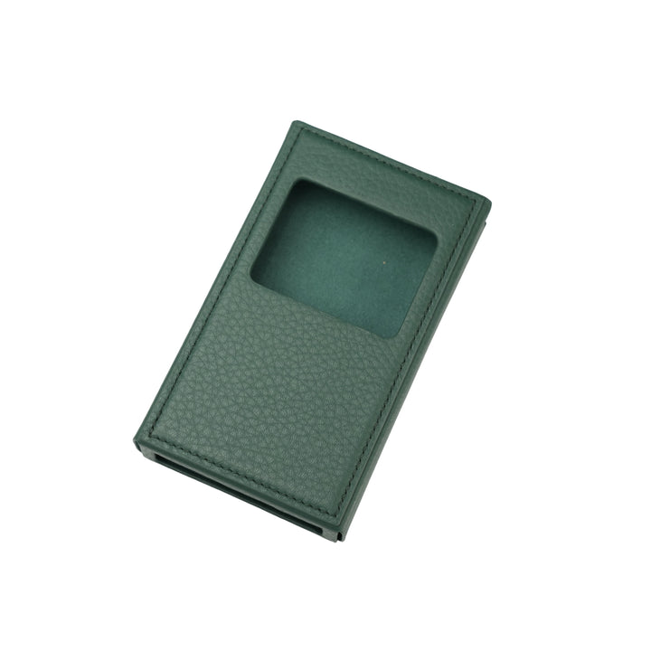 iBasso Green Leather Case for PB6 Macaw | Green Case