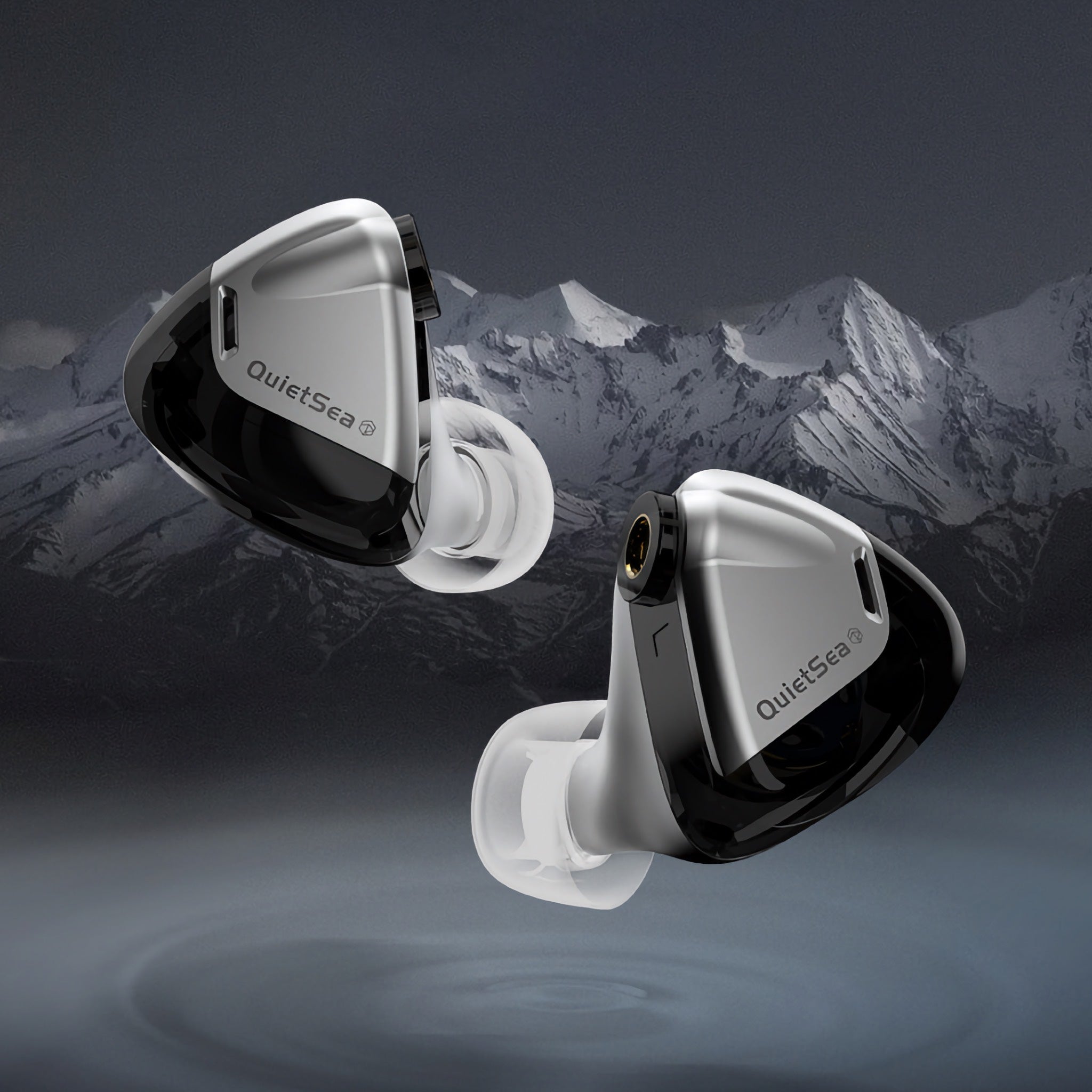 Rose Technics QuietSea Dynamic Driver Universal IEMs | Bloom Audio