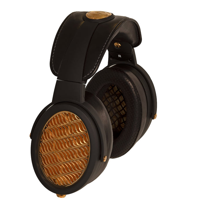 Warwick Acoustics Aperio black headphone profile