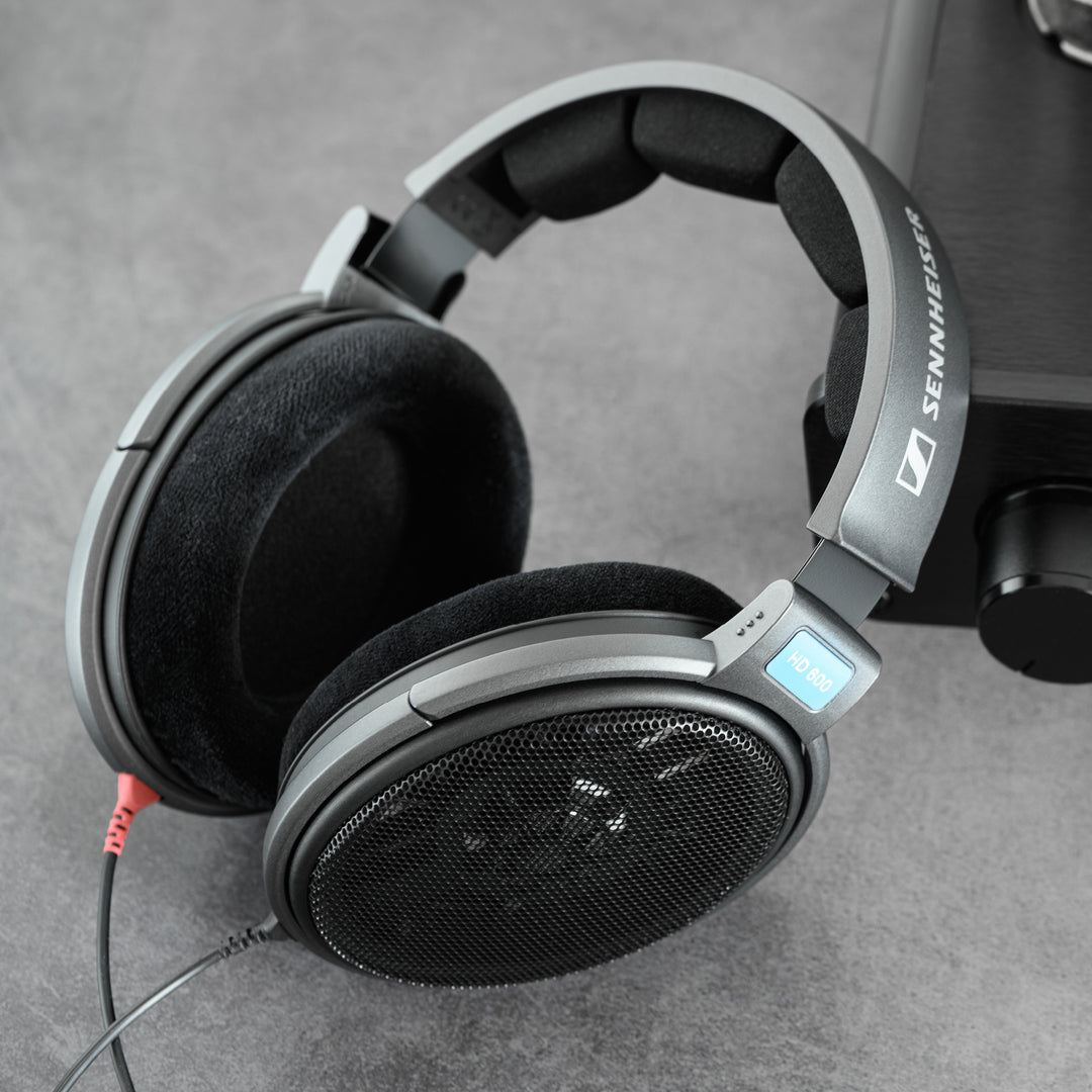 Sennheiser HD600 | Open-Back Dynamic Headphones-Bloom Audio