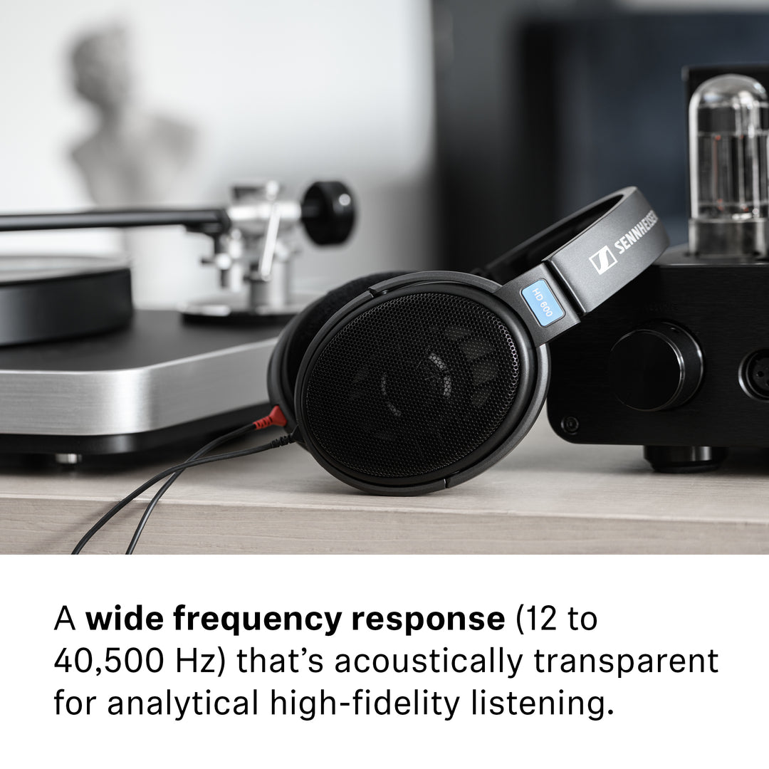 Sennheiser HD 600 Review: The Best Ever? - YouTube