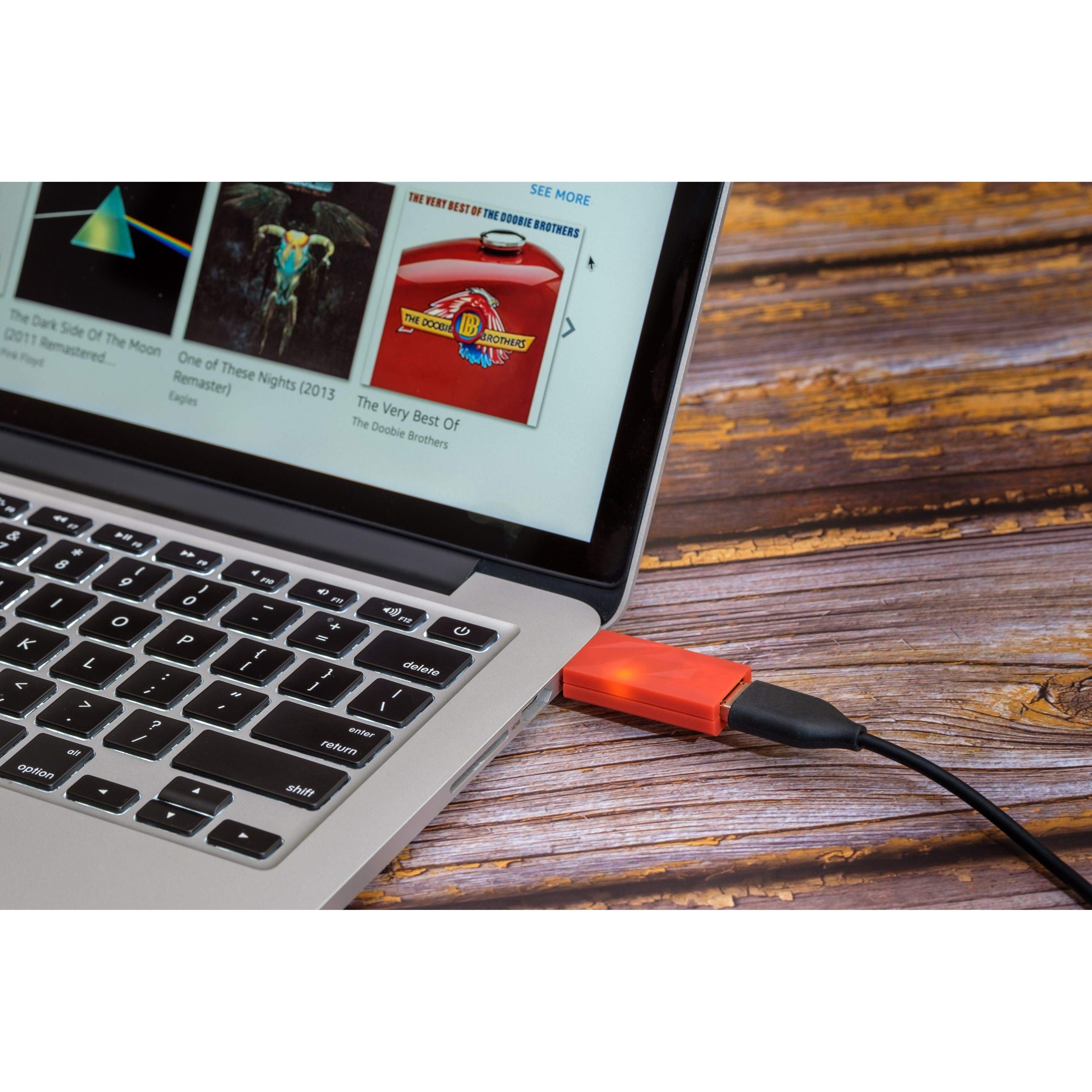 iFi iDefender+ USB Ground Loop Breaker | Bloom Audio