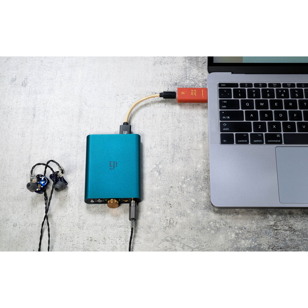 iFi iDefender+ | USB Ground Loop Breaker-Bloom Audio